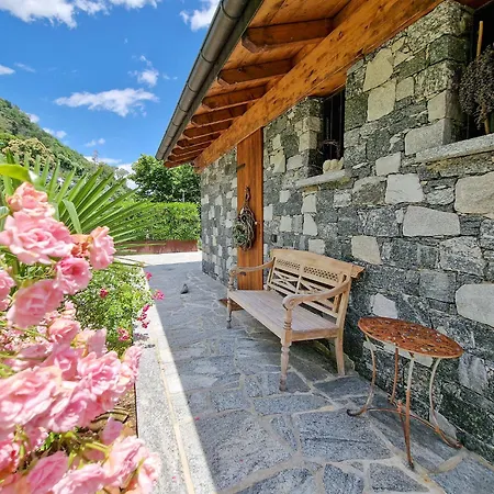 Oasi Ulivi Holiday home